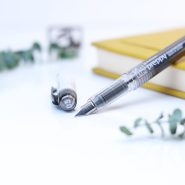 خودنویس پلاتینیوم پرپی PLATINUM Preppy New