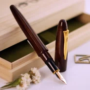 خودنویس پلاتینیوم ایزومو مدل تاگایاسان براق PLATINUM Izumo Tagayasan gloss 21