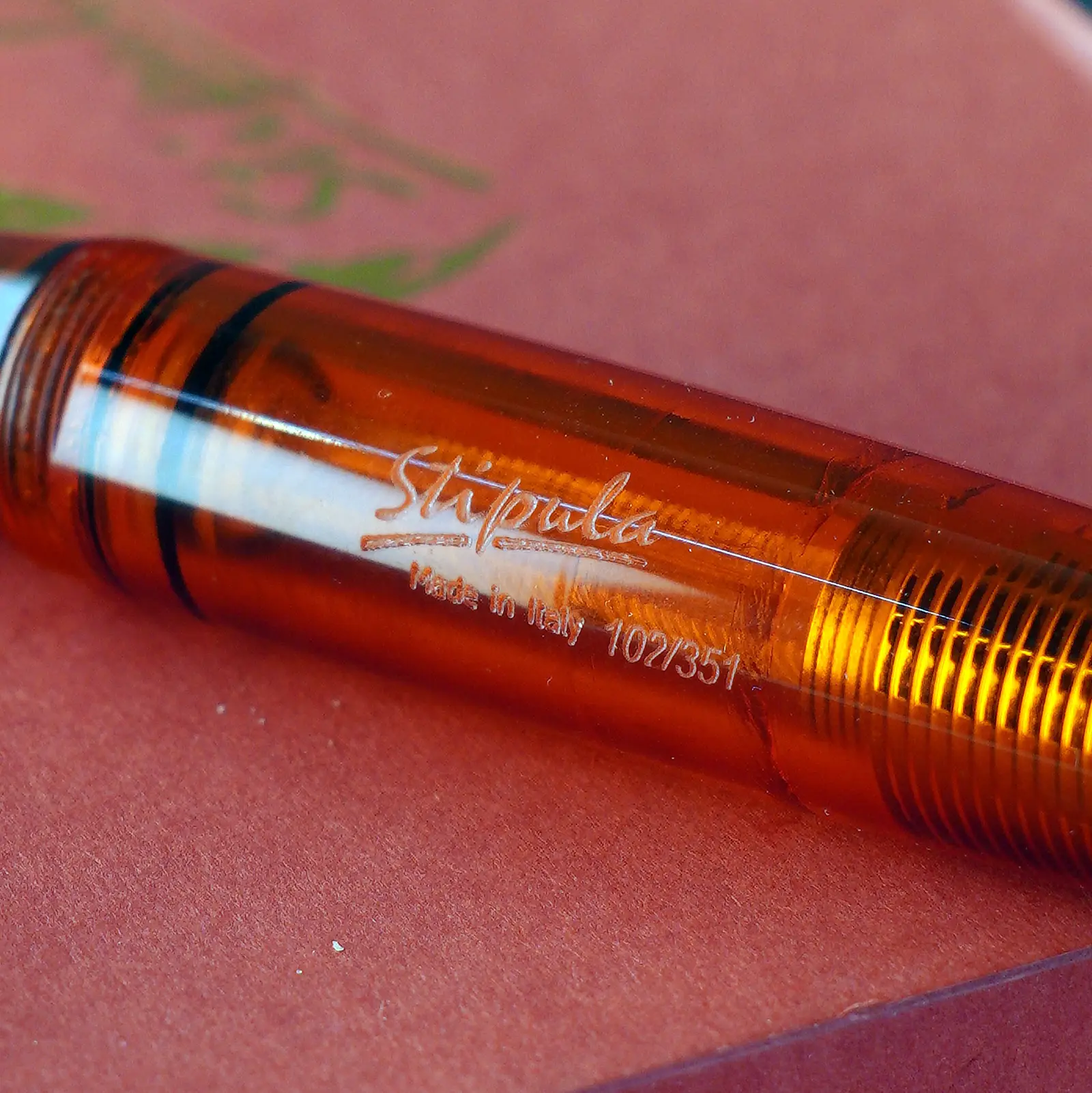 استیپیولا (3)