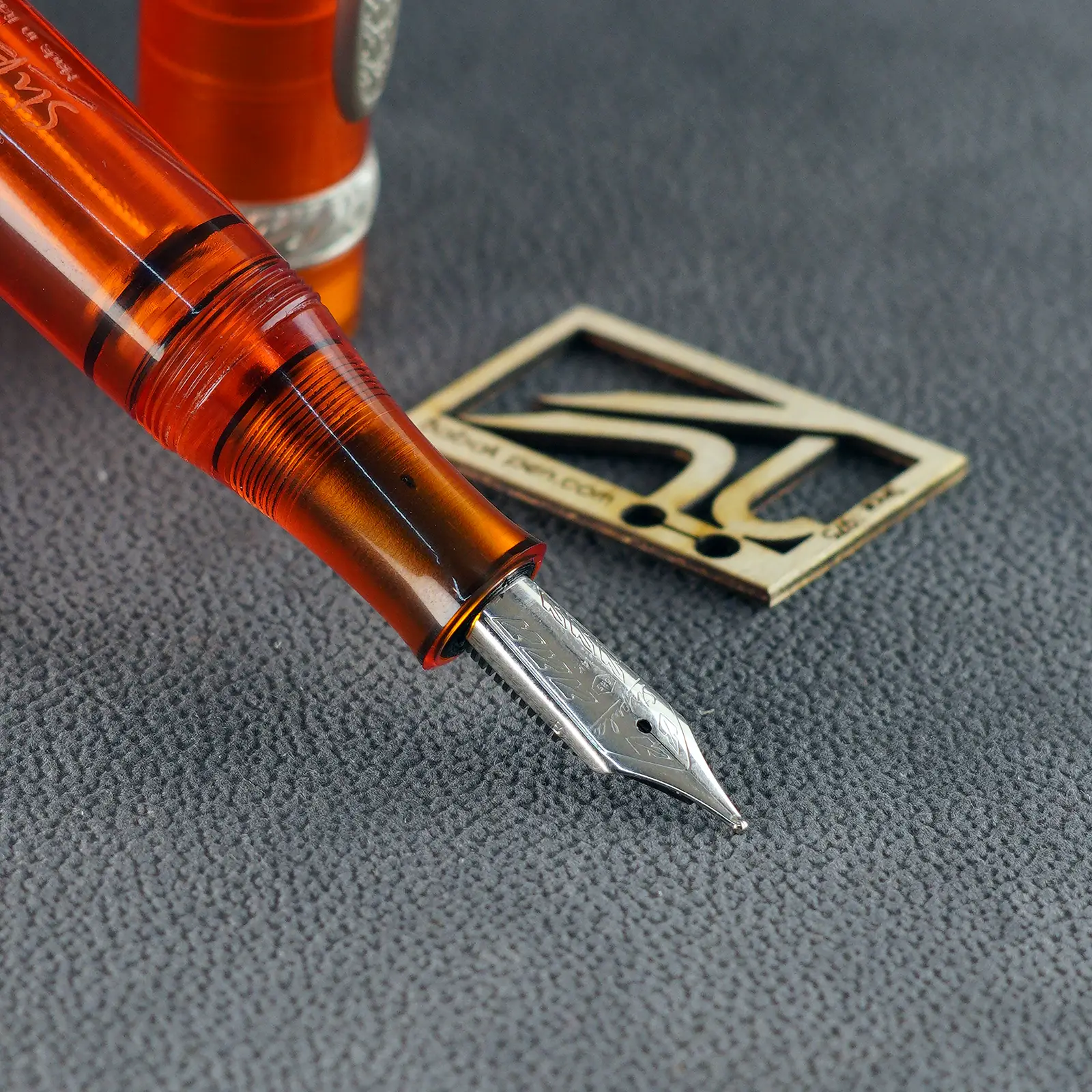 استیپیولا (4)