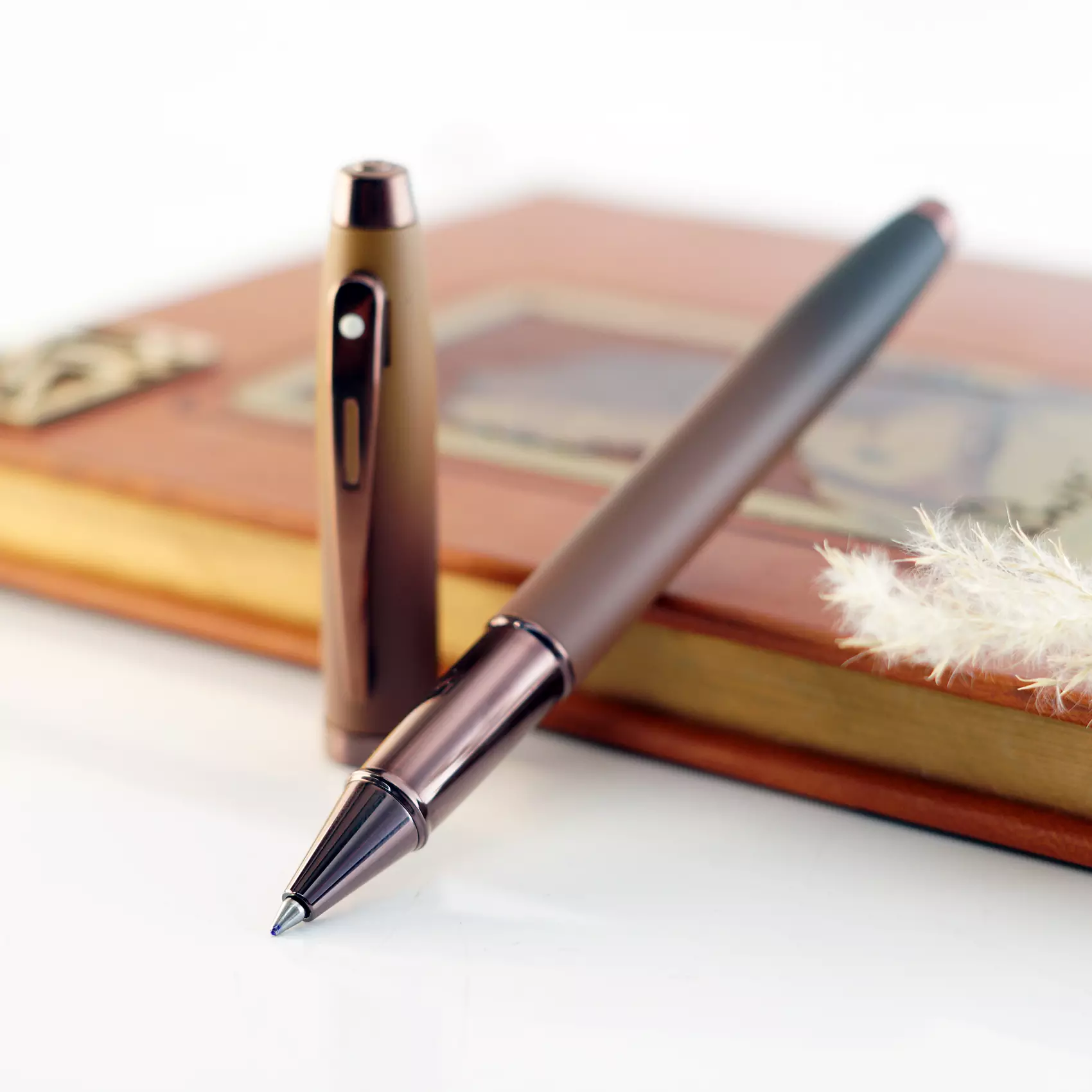 روان نویس شیفر 100 کافی ادیشن SHEAFFER 100 RP Coffee edition